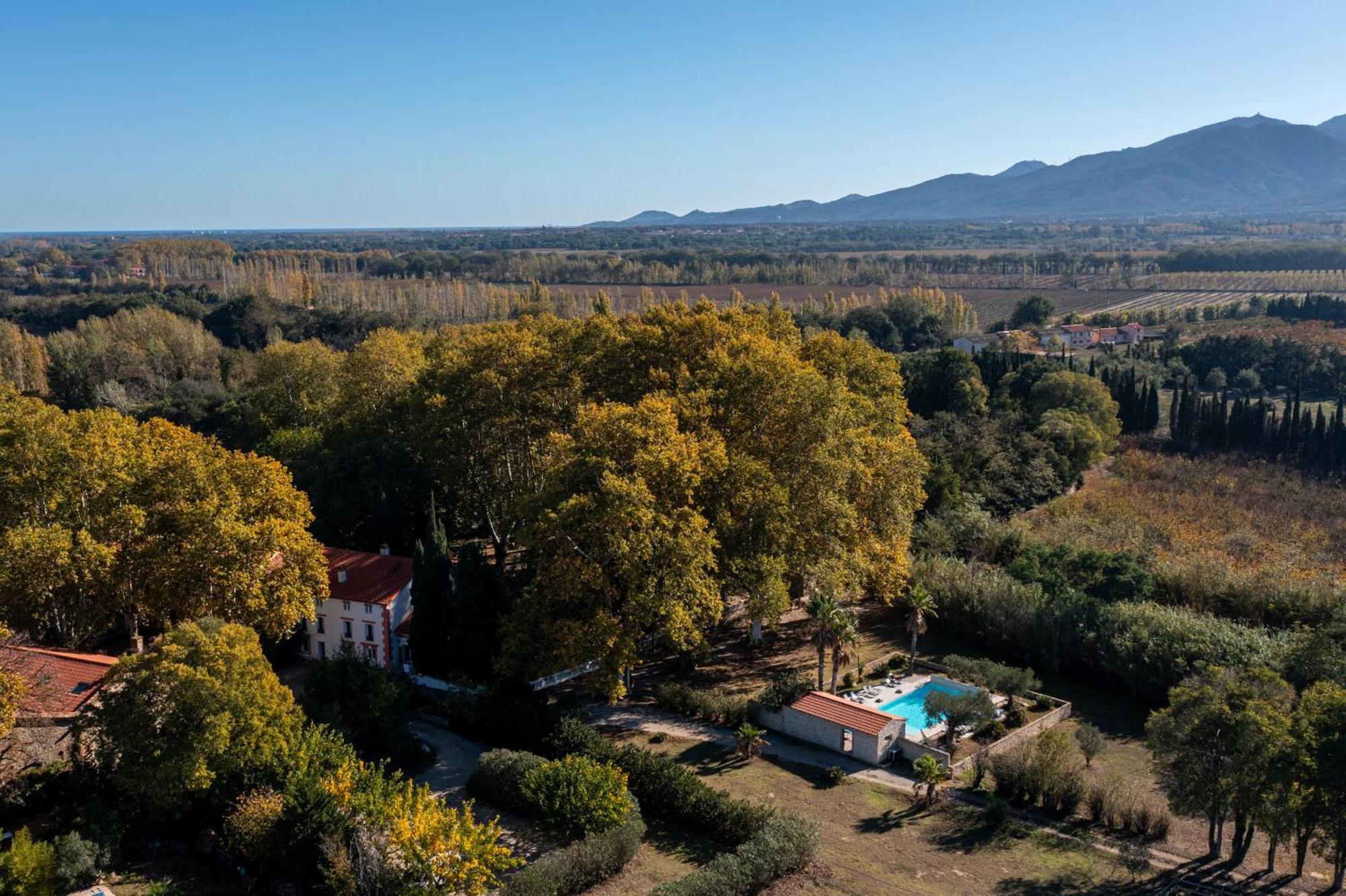 Bed and Breakfast Domaine Castell De Bles Saint-Genis-des-Fontaines Экстерьер фото